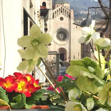 B&B Homer Trento-3